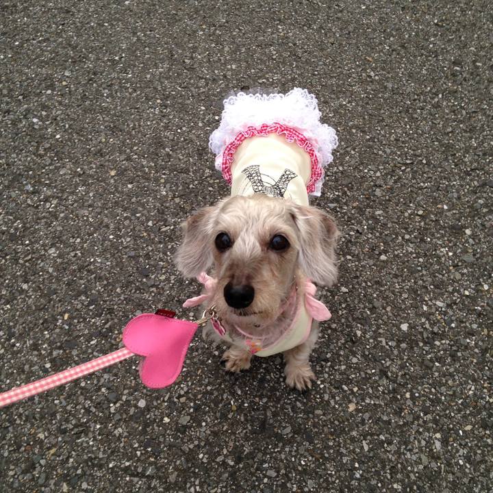 597925b9 e4b7 46d8 87a7 ea8f2747724b