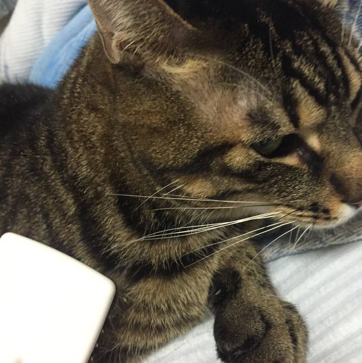 59796c44 c9a7 4e90 b593 e0243f5a5e2d