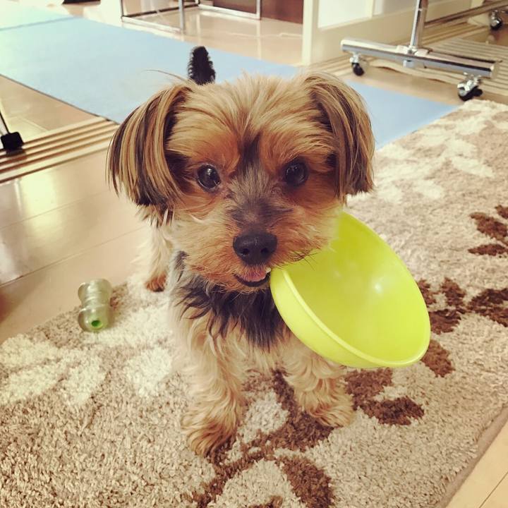 597b523d ca47 4a12 b217 c26fca922153