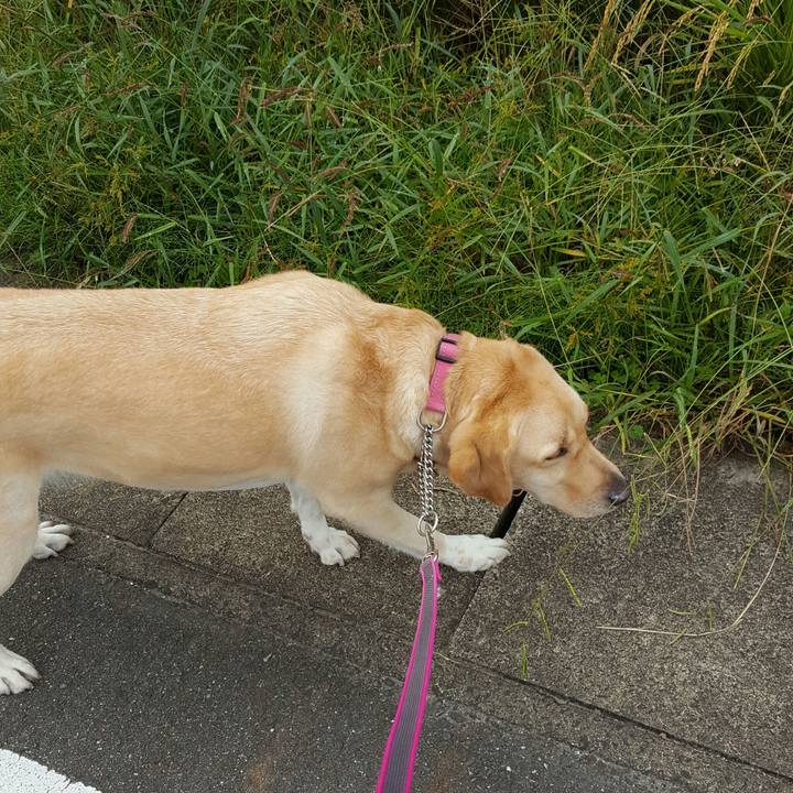 597be0ee 791a 4228 958e 1978617accc4