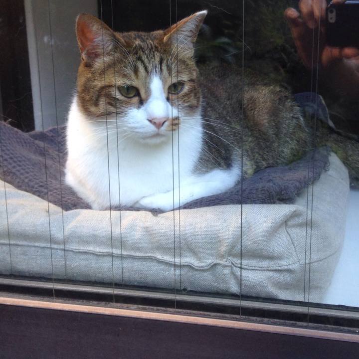 597be768 288a 451d be79 be836ffdaca3