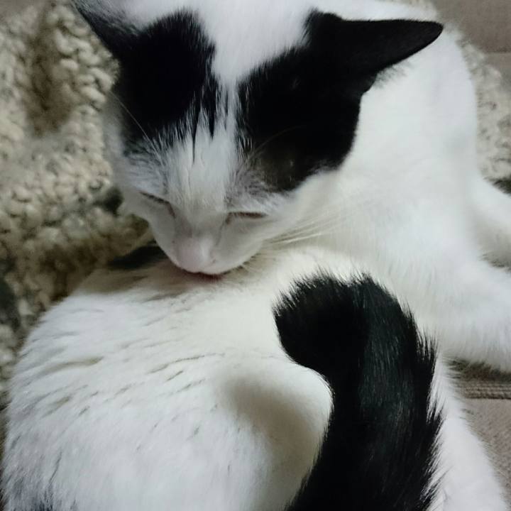 597c6d6c 017c 4817 a18e 18ac2cf48f77