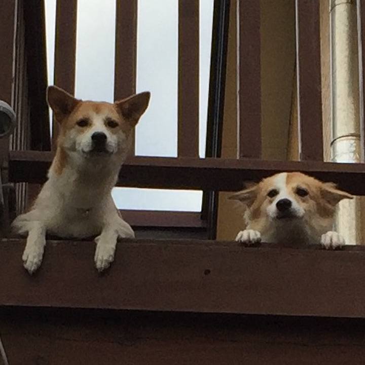 597c9eef eae8 4b02 b493 b99090bb607a