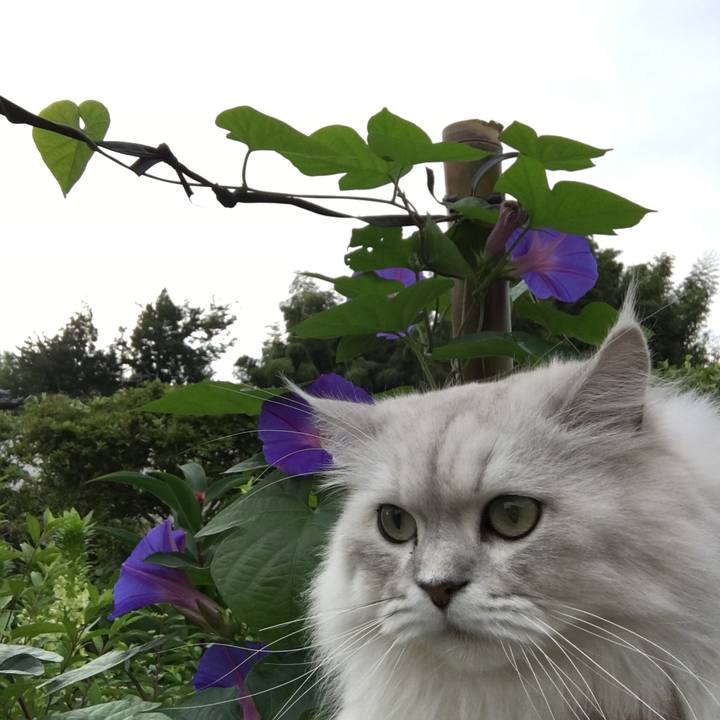 597cb4d0 4683 4733 b335 e9a459b79b75