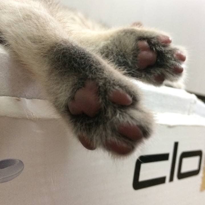 597d13e8 1ea2 474e a844 17953a8d0854