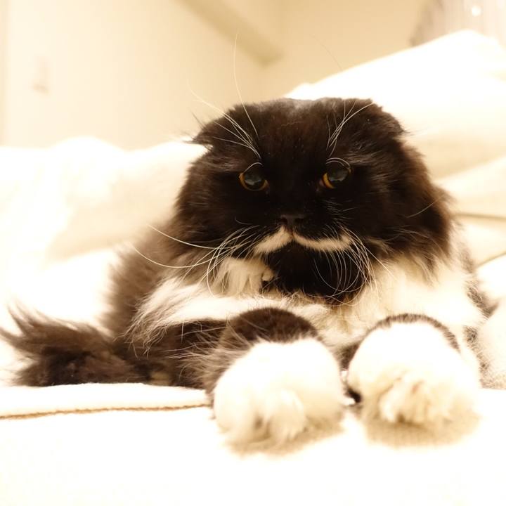 597d58a7 5bfe 429e 9940 1ea91ff8e523