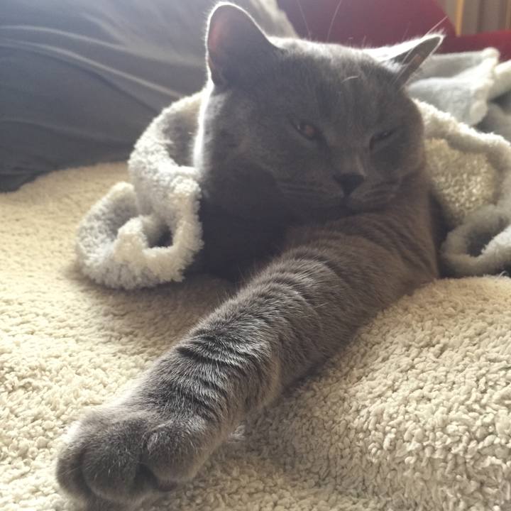 597e2715 2efa 4b8f 9da2 da32647469f1