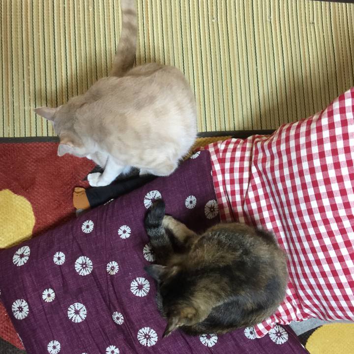 597f7c55 87a5 477c b483 fa1a1a954369