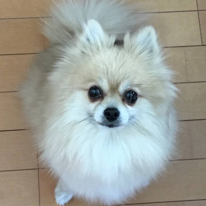 597fe2e5 b637 4da9 a20d c72c74b1c8da