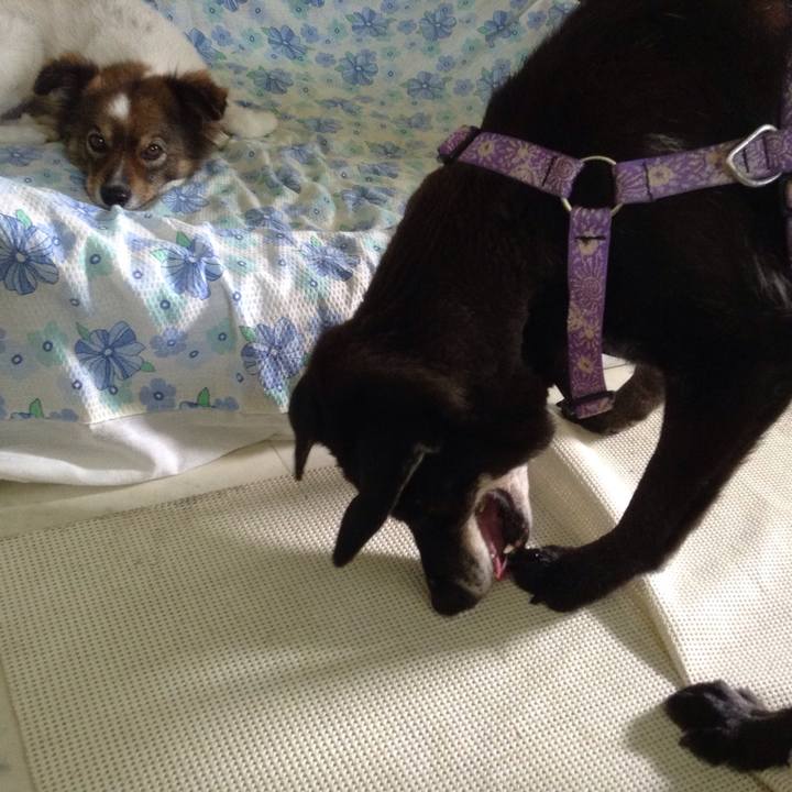 597fec70 d86d 47b1 90e3 91ee8270d056