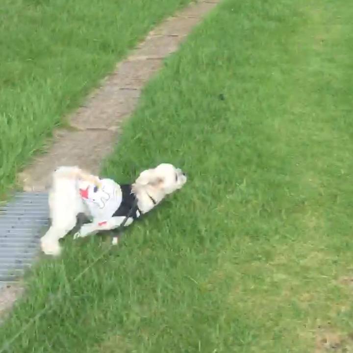 5980a84d 2d39 4fd1 b199 9cc66ffbfa32