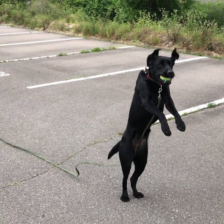 5980f2c1 c9a7 43d2 8e31 91eac14f703e