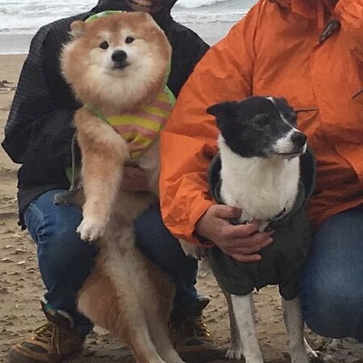 5980ff22 f761 4b0d beec df8ea2601f97