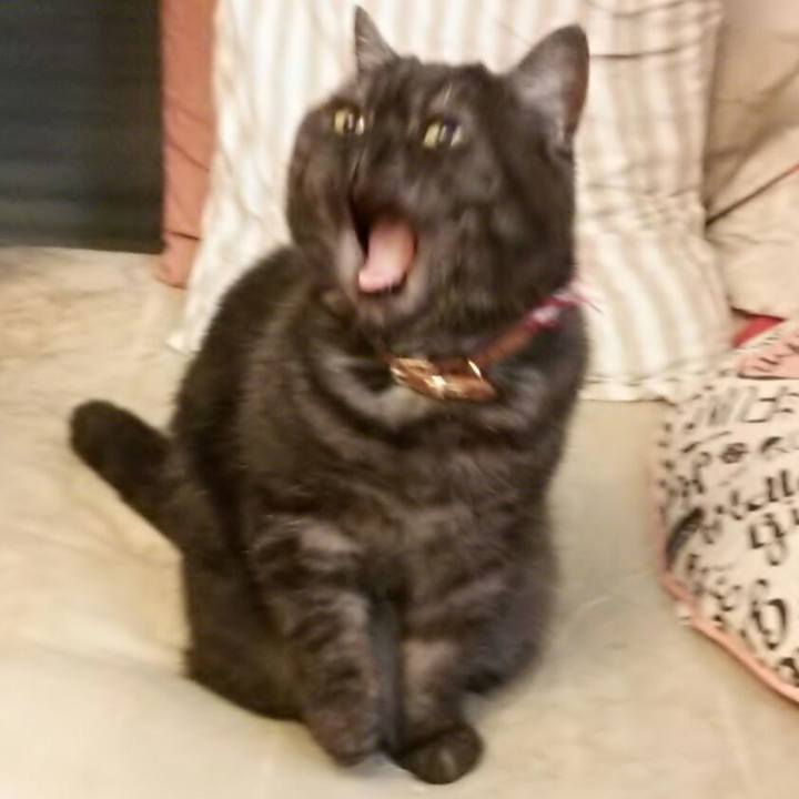 59810895 3ba6 4c09 8328 3eccee9d2e5f