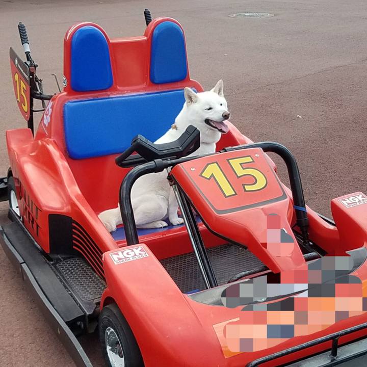 59815a31 7986 4d2b 821a 7bba170fde22