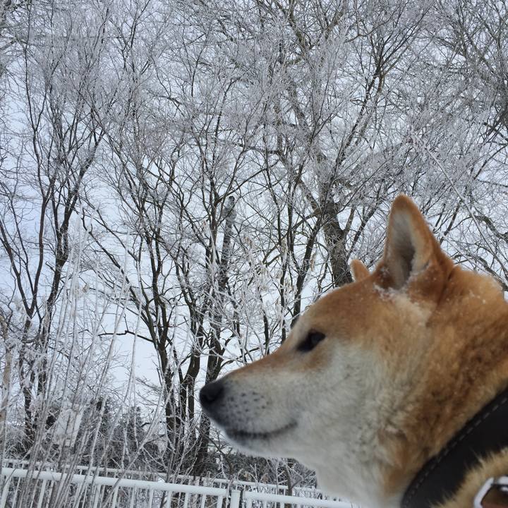 5981b56e 3e83 4379 aac3 2635dffdce0f