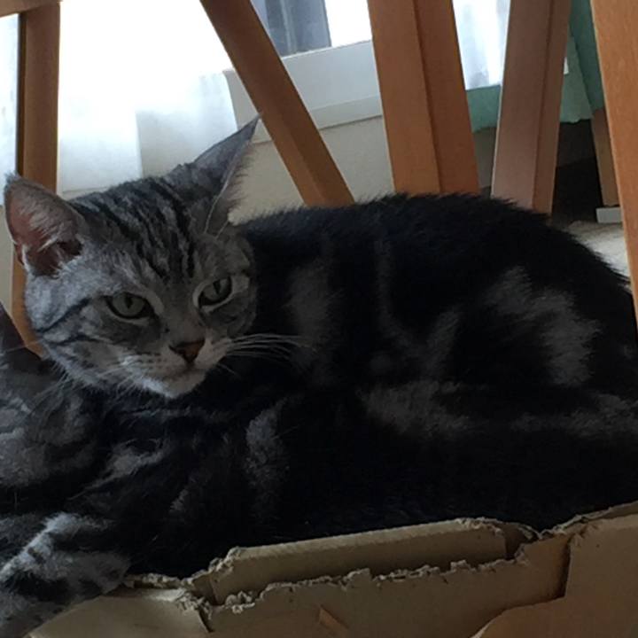 5981d752 ccb8 4a23 920e 5fbf3b0fbaa7