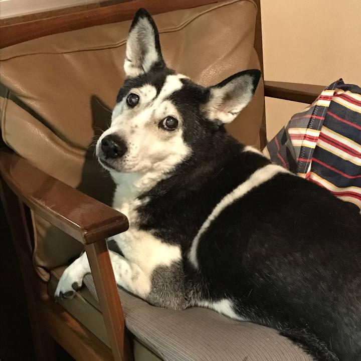 598213a0 fb9d 4c3b bdbb d7fd12118d37