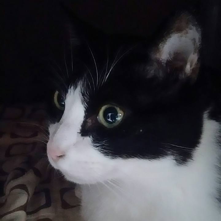 598232fb ac94 442e 9805 92846599312a