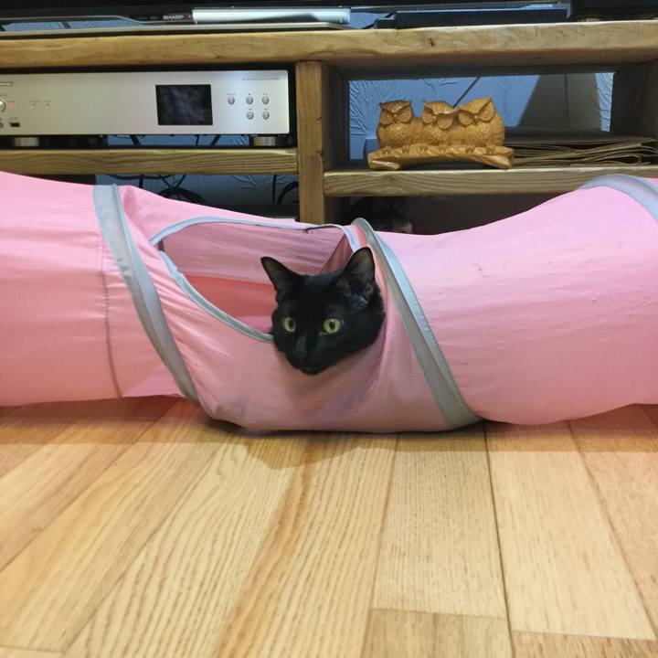 5982ade4 9fb6 41c7 bffc df6061d367a3