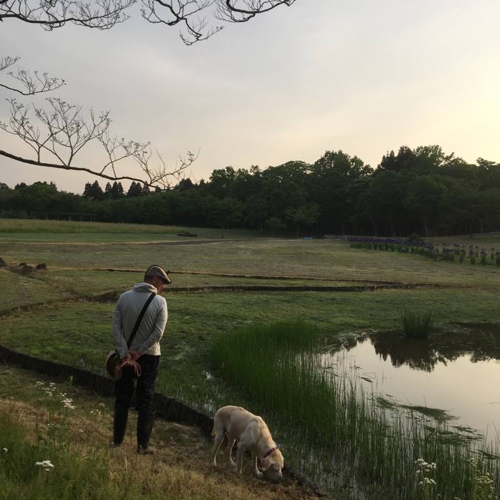 5982d60e dcde 4bc6 bdba 51f315cf0394