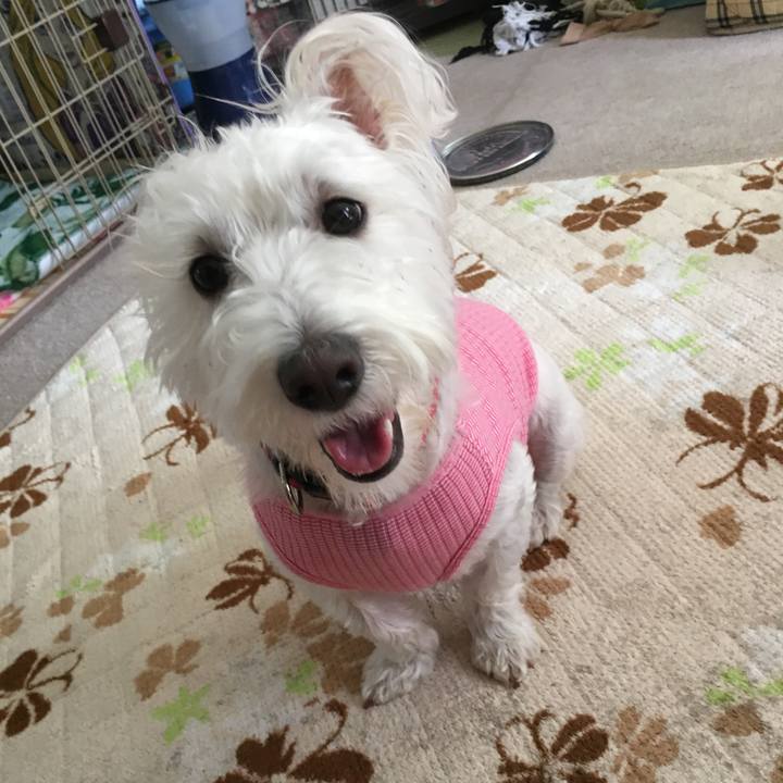 5982e604 487b 4009 92c2 fbf68a601eb6