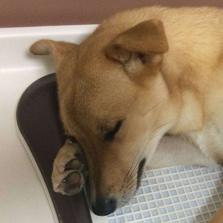 59834f66 b832 4522 ad96 526d861fea90