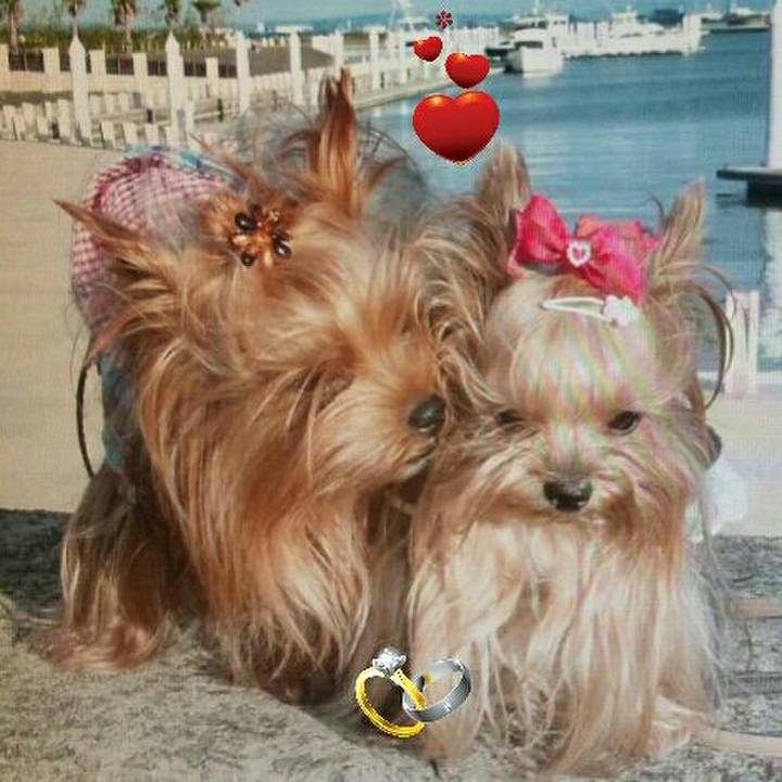 5983ca68 f265 40ab a12c 83e426f162fa