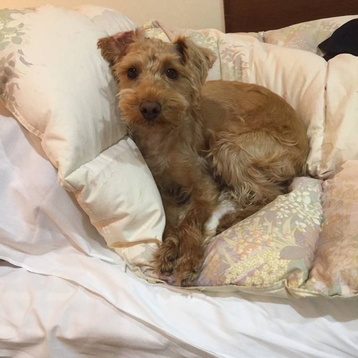 5983d8a9 2b78 4a2d 9f2b fe9616e5dace