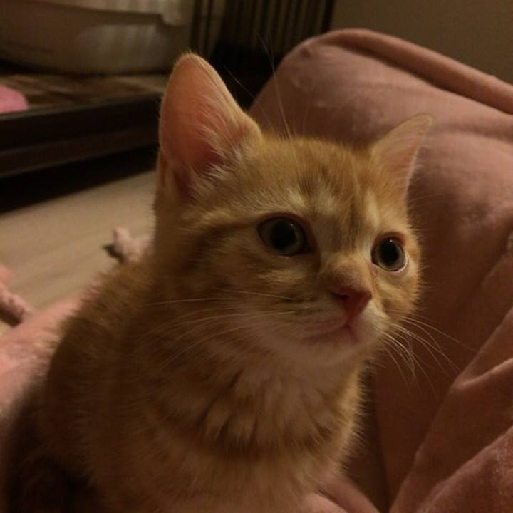 5984cec5 ae79 4148 be5e 67c459da3f8f