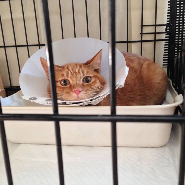 598555dc ce87 4fd6 992a 042726674a77