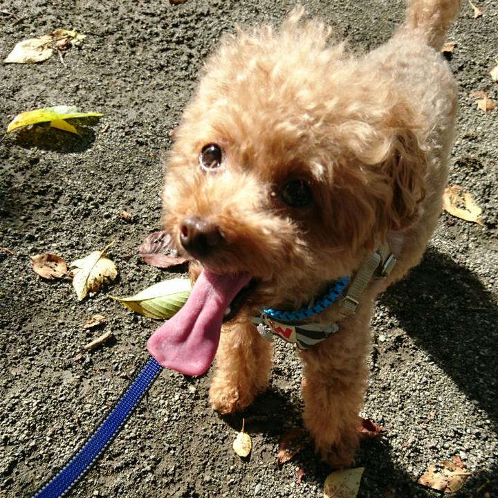 5985624a 0815 4742 92f6 0099918b67da