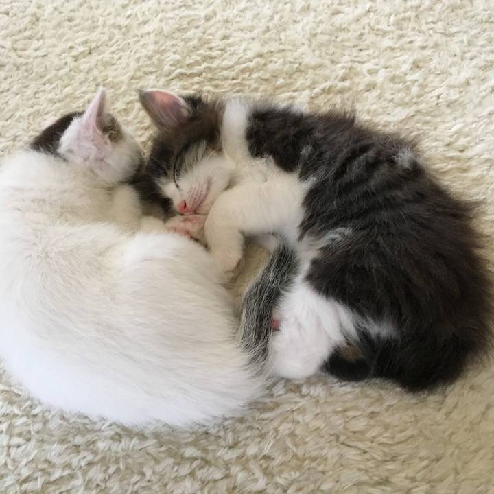 5985e7f0 0a56 426f 89d5 ffa8ec30b510