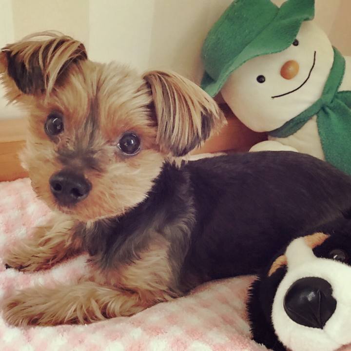 5985fb2f 3bac 4a5e ab9a c7f78ed71cbb