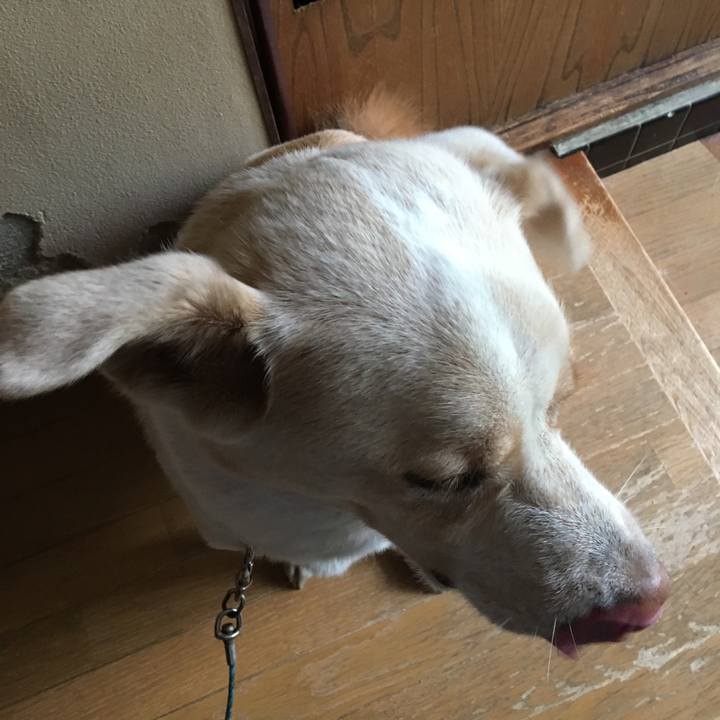 59861a02 1f66 4af2 8670 d37d52042359