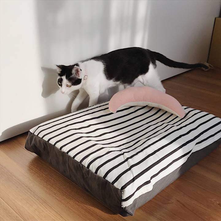 59861c50 3d9f 4543 be86 f57b4a686894