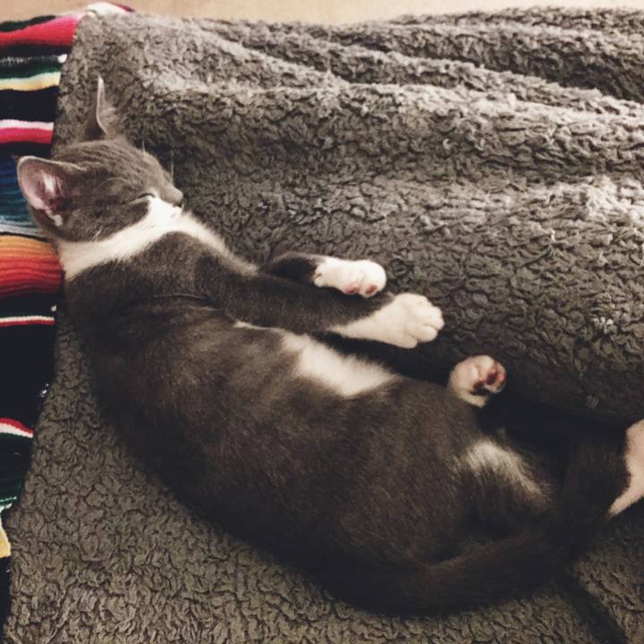 59865b07 7e77 4bbb 87d7 98749018cb9e