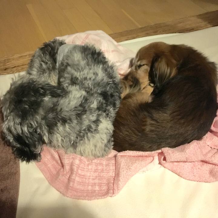 5986df9f 5414 40be bda7 50a372d4f4f0