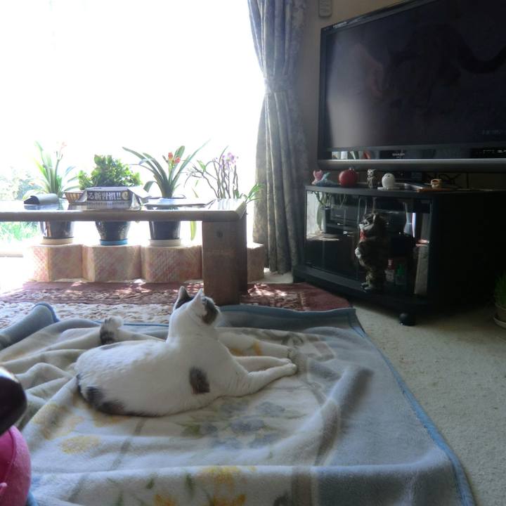 59877a4f cfc5 4321 a8d0 e48a2a4472de