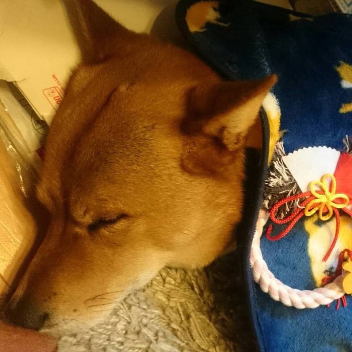 5988136c f9c4 4c68 a6c8 0553f7483d5d