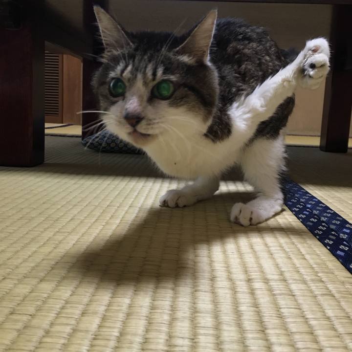 59884457 ed9c 44f4 8b64 1494e9b7898b