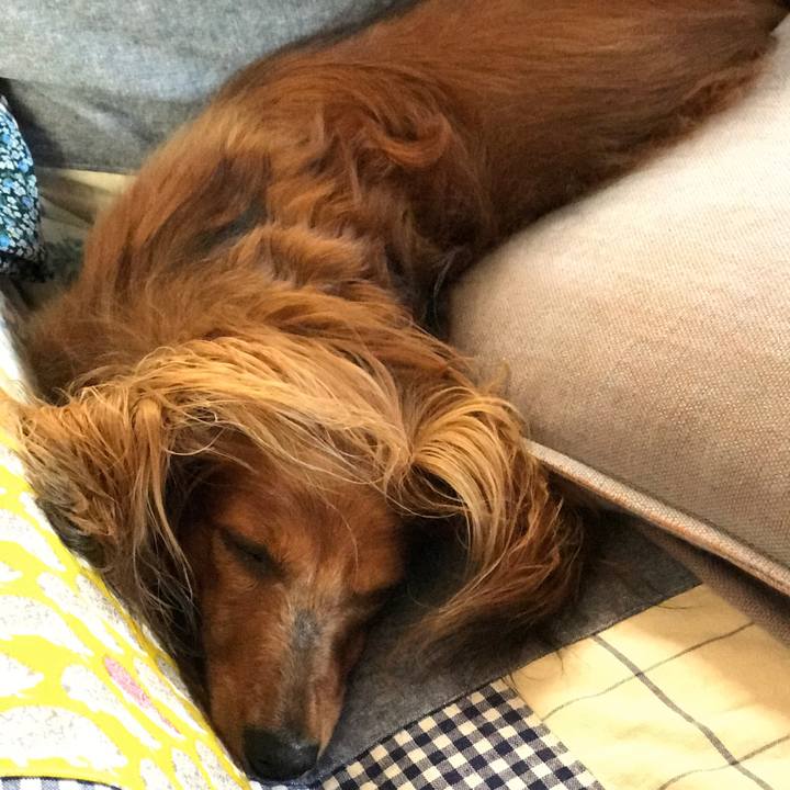 5988b63e a2ed 4d8d 8928 f764f77f87f0