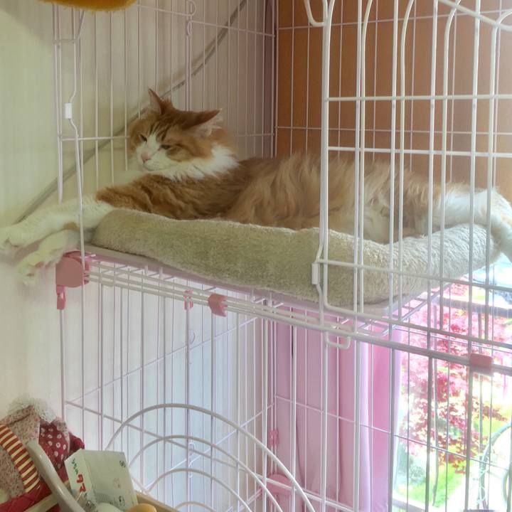 5989c37d 1b52 4c93 bbe3 2c3efd088ed8