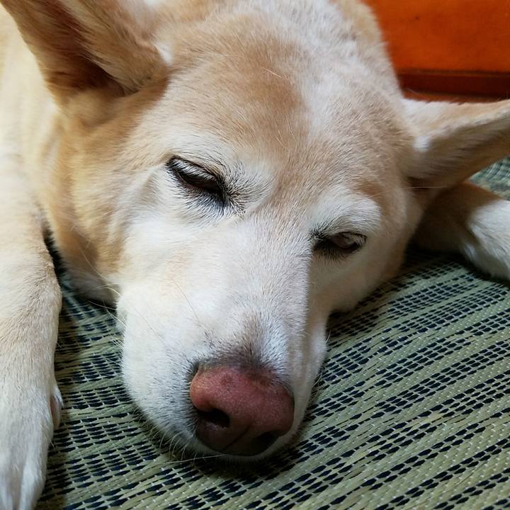 598ae783 b3ad 4b18 84ad 3923390a7f89