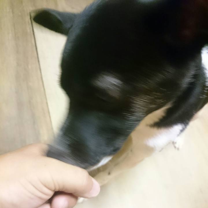 598b427a f3ca 4838 a1db cc52f040542c