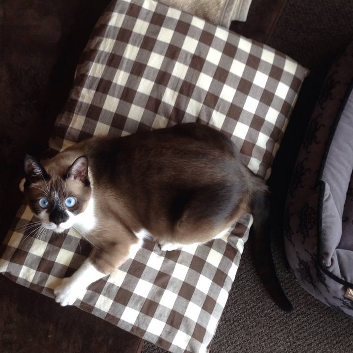 598b68cb b23d 4afb b16c c01dd256b28c