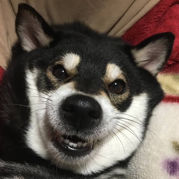 598bf2f0 bcfe 4a0c 92dc 0c571ba26bbc