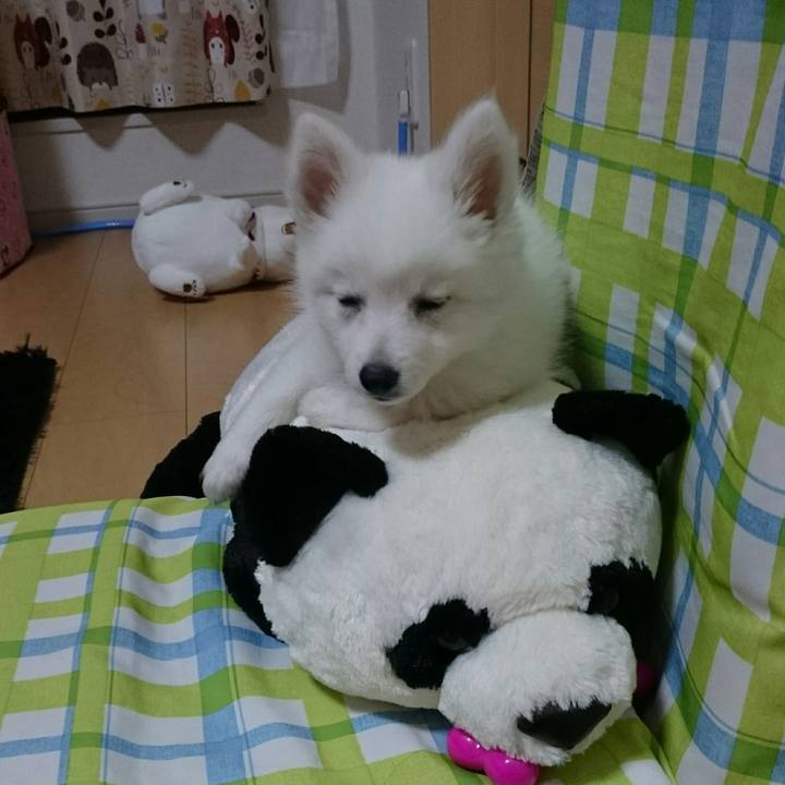 598c3fe8 2391 4c9f af3a ac64ee214c96