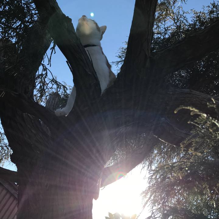 598c7bc6 c3fe 4df9 971c d131aef8c491