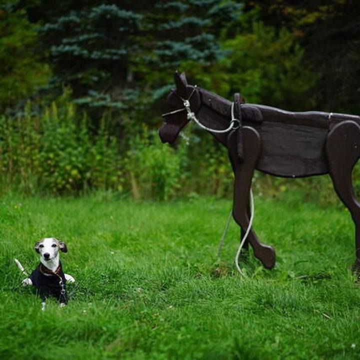 598cb2e8 8891 4a65 be61 8e2a05a15f5e